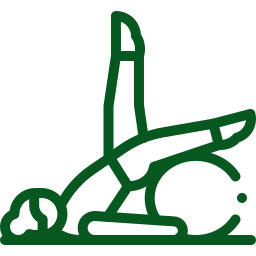 icon pilates